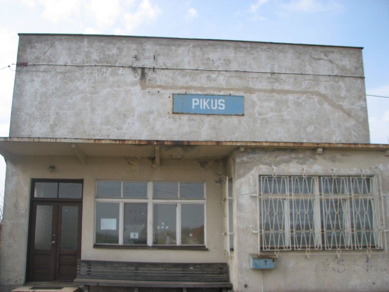 pikus 02