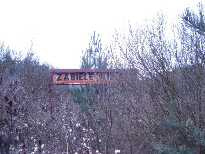 zabiele wielkie 15