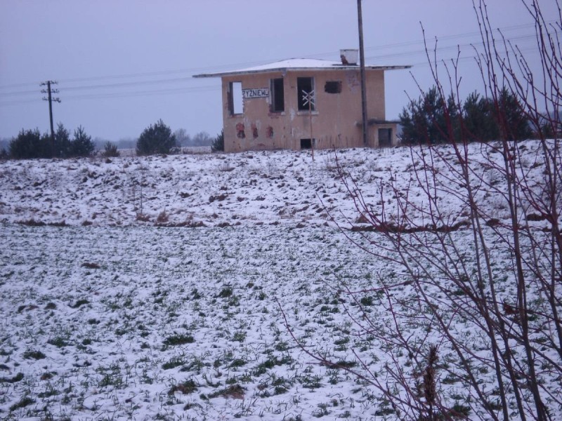 żyźniewo 06