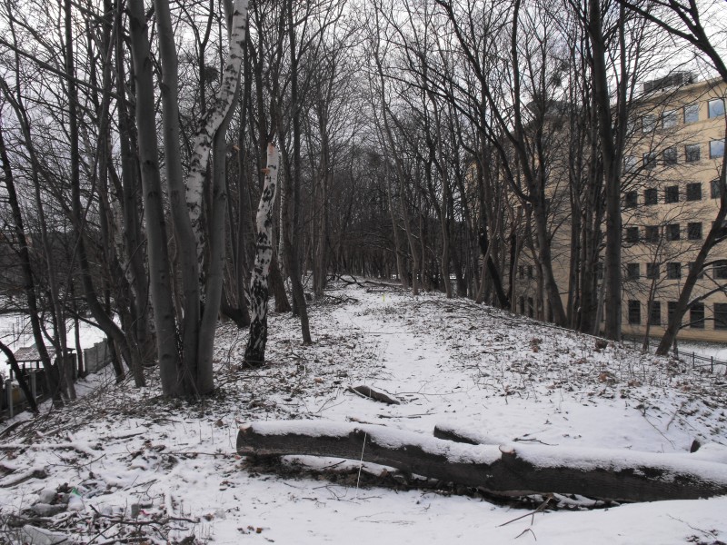 wrzeszcz - rębiechowo 014