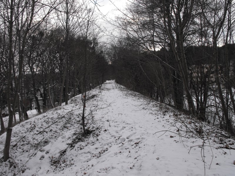 wrzeszcz - rębiechowo 034