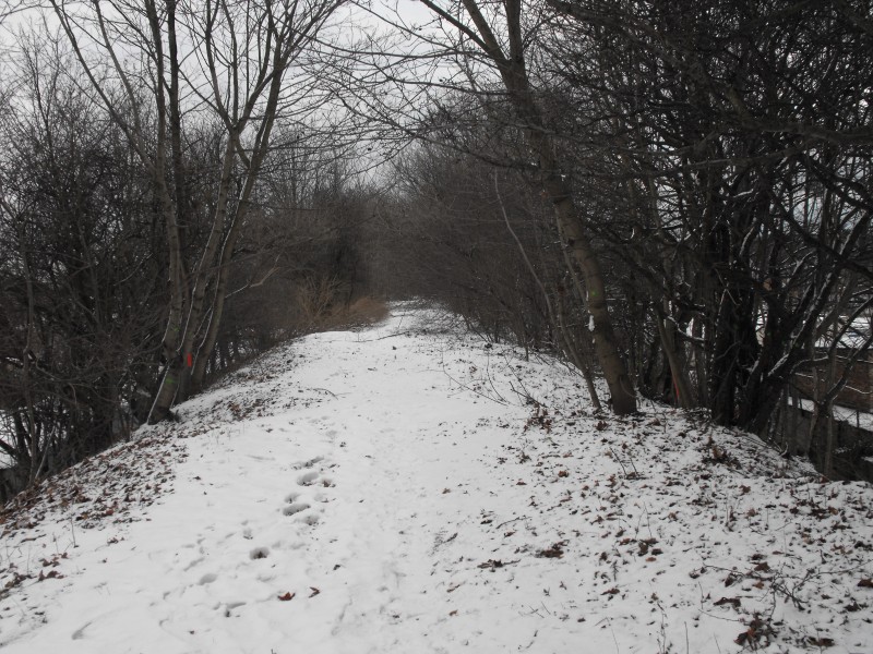 wrzeszcz - rębiechowo 035