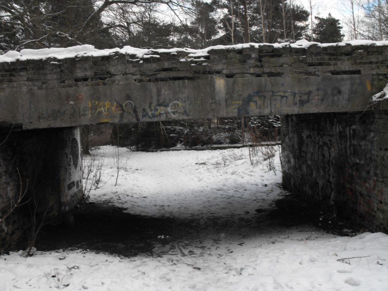 wrzeszcz - rębiechowo 041