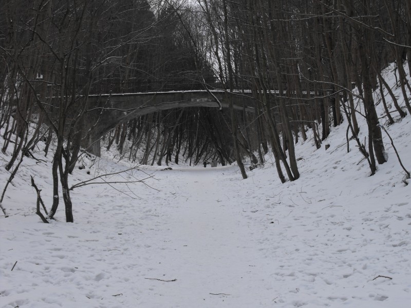 wrzeszcz - rębiechowo 042