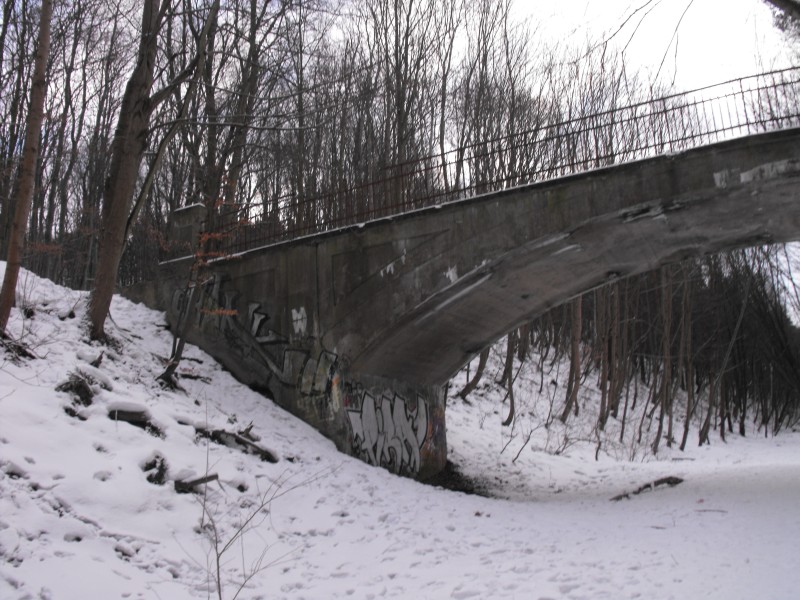 wrzeszcz - rębiechowo 043