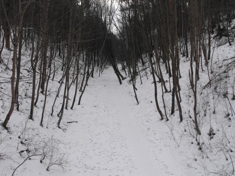 wrzeszcz - rębiechowo 045