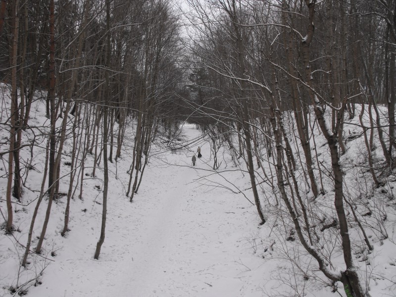 wrzeszcz - rębiechowo 046