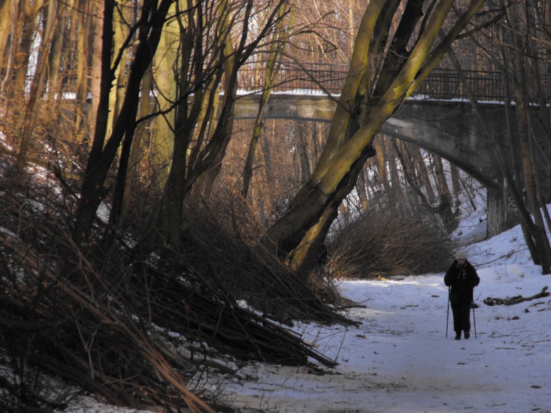 wrzeszcz - rębiechowo 048