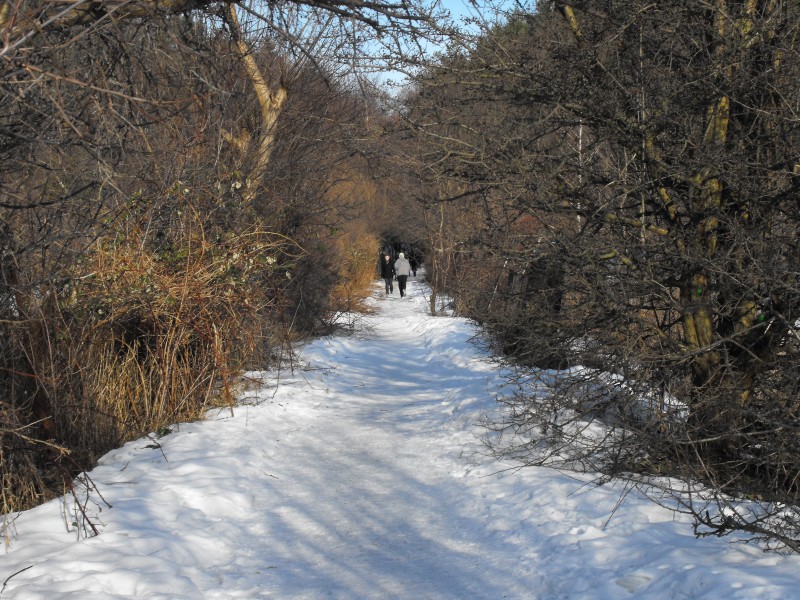 wrzeszcz - rębiechowo 049