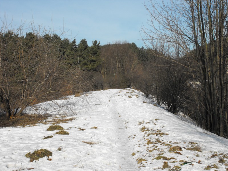 wrzeszcz - rębiechowo 051