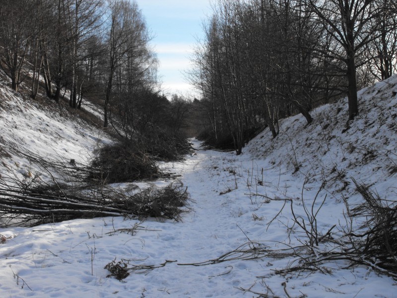 wrzeszcz - rębiechowo 075