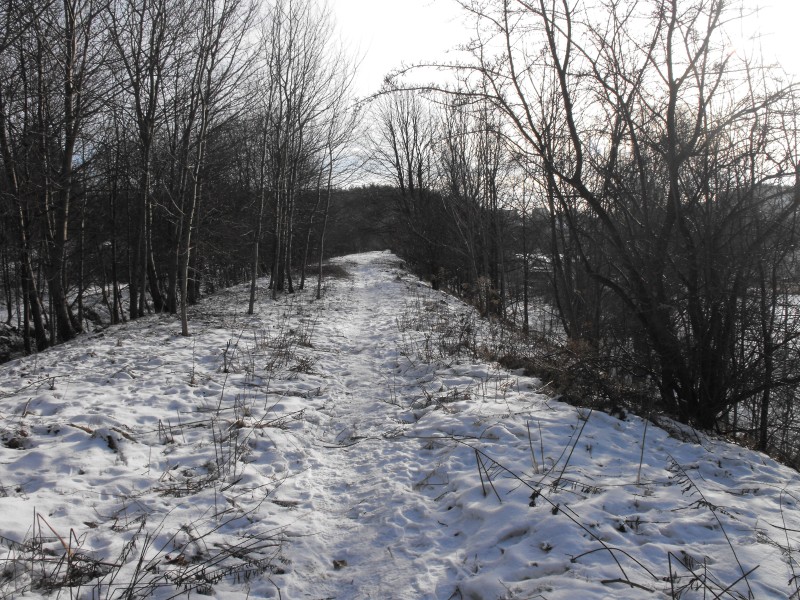 wrzeszcz - rębiechowo 076