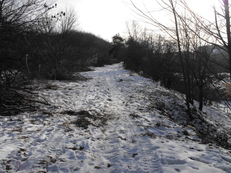 wrzeszcz - rębiechowo 077