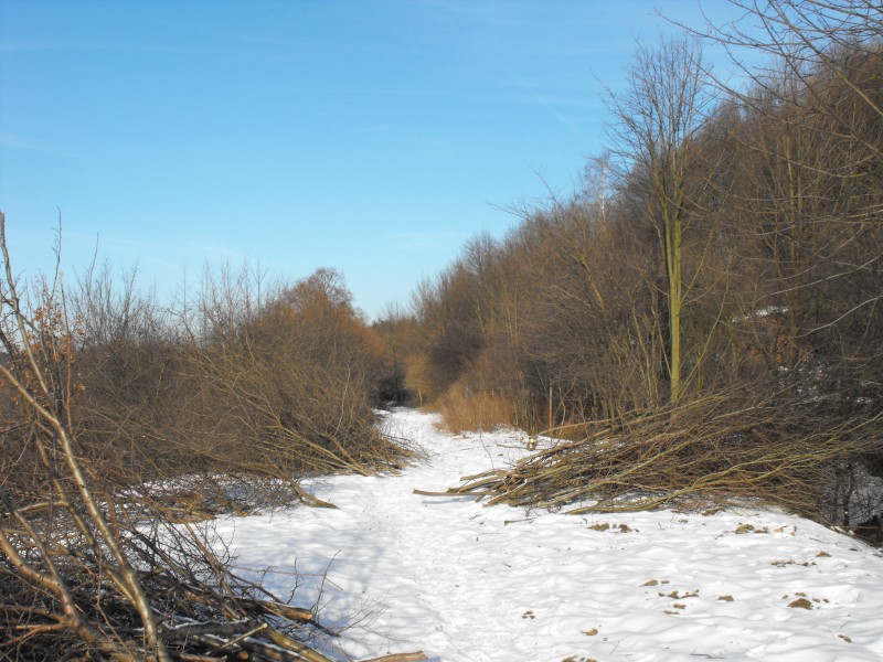 wrzeszcz - rębiechowo 078