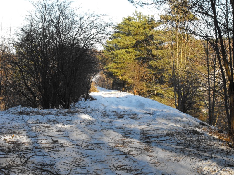 wrzeszcz - rębiechowo 086