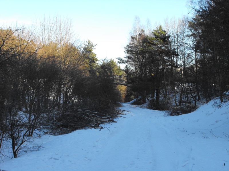 wrzeszcz - rębiechowo 090