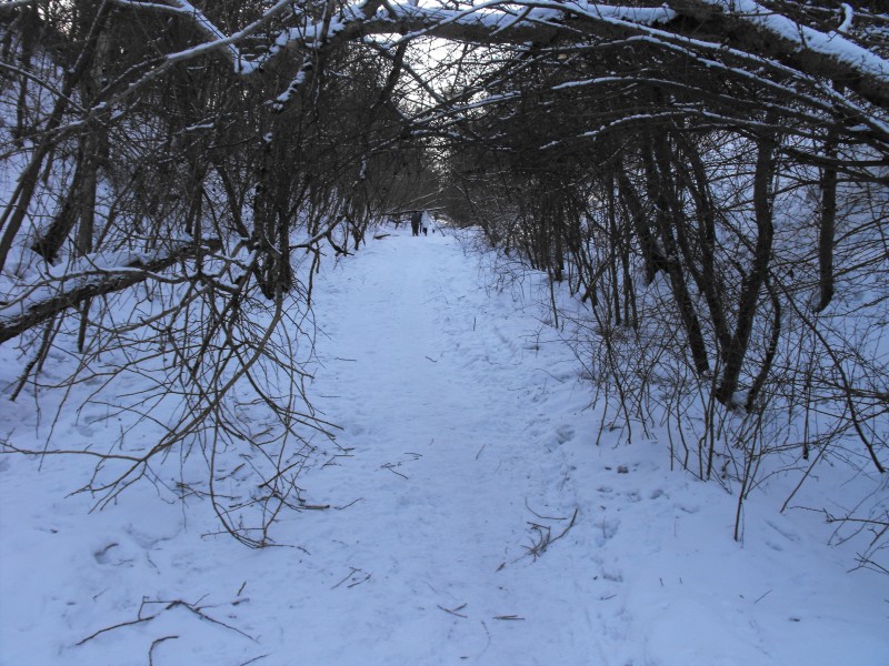 wrzeszcz - rębiechowo 092