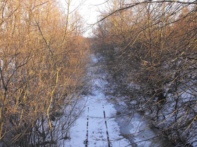 wrzeszcz - rębiechowo 105