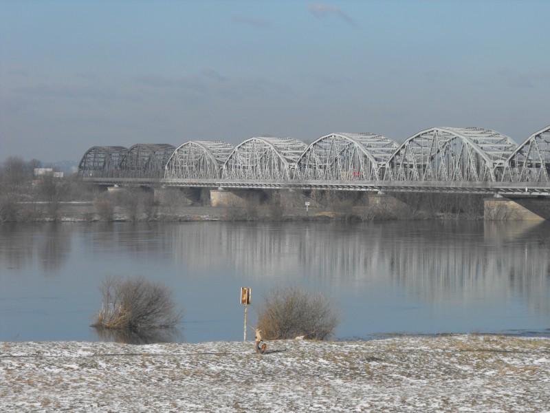 most w Grudziądzu 15