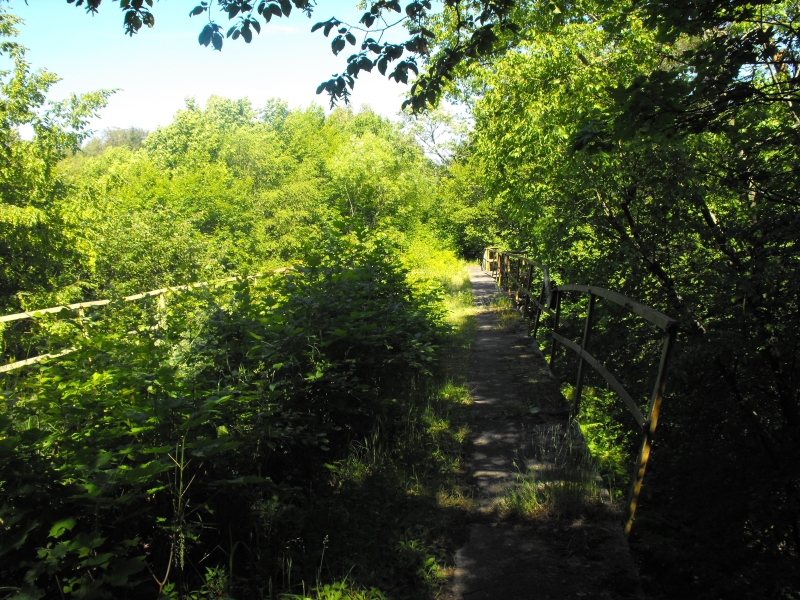 Most w Lubonicach 07