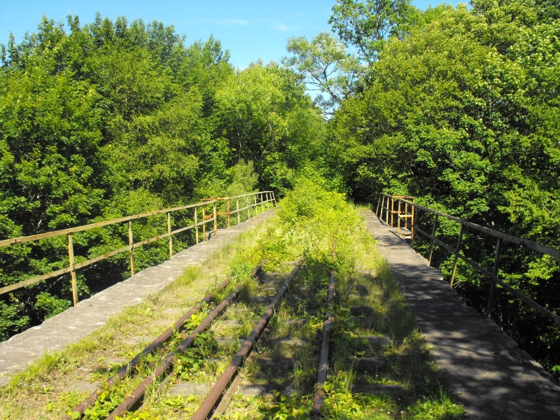 Most w Lubonicach 08