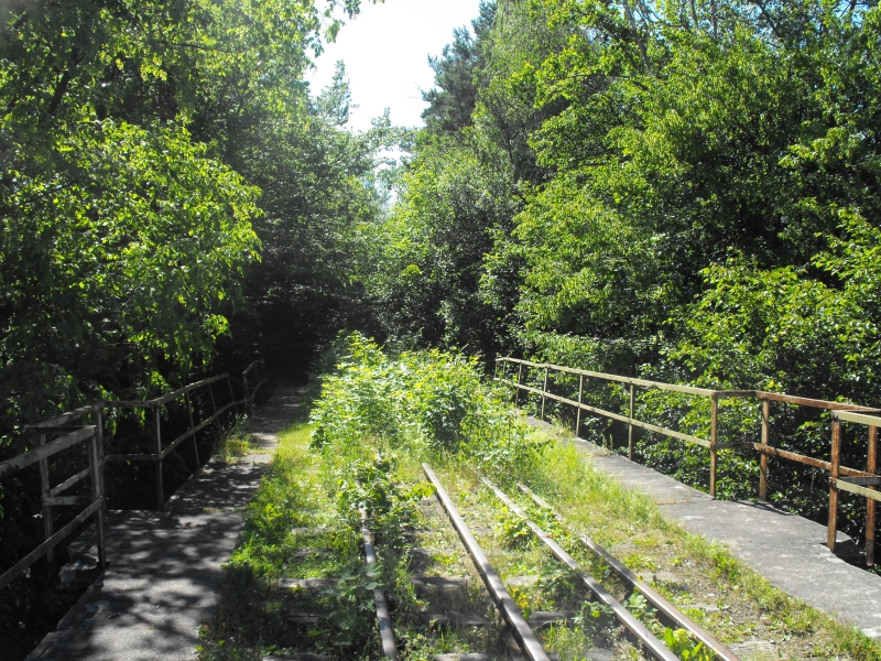 Most w Lubonicach 09