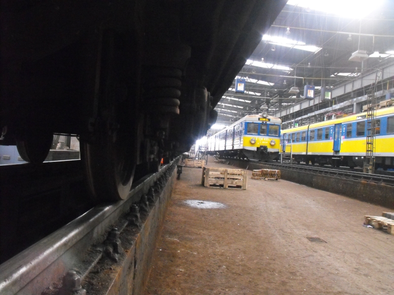 Cisowa Elektrowozownia 41