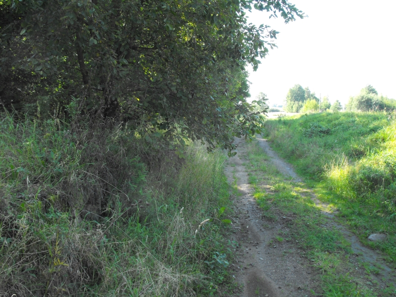 Linewko Kaszubskie 01