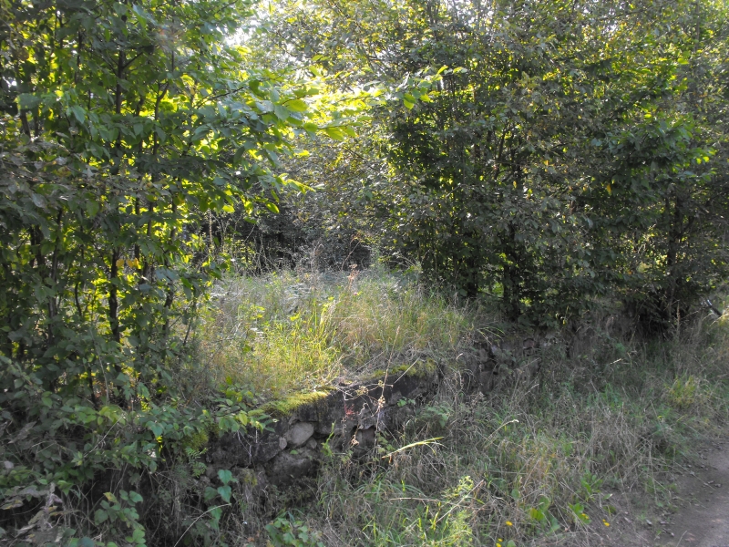 Linewko Kaszubskie 04