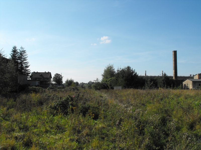 Liniewo Pomorskie 06