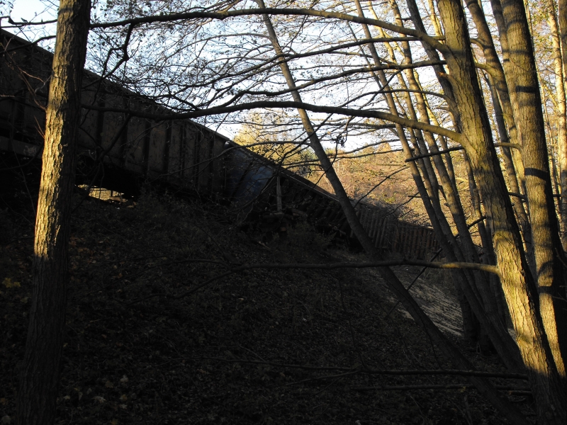 Wykolejenie wagonów - Gdynia 07