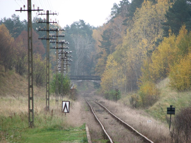 Dąbrówka Górkło 05