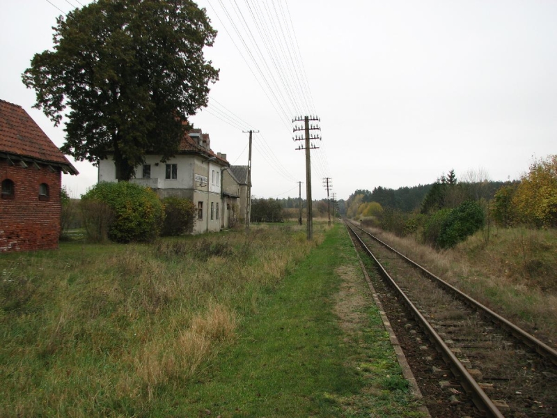 Dąbrówka Górkło 13