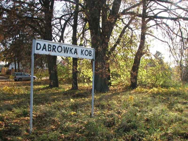 Dąbrówka Kobułcka 02