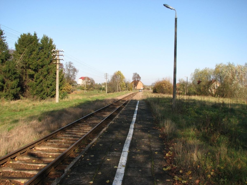 Dąbrówka Kobułcka 03