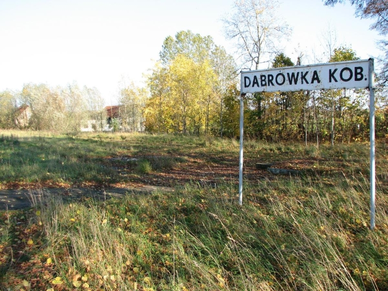 Dąbrówka Kobułcka 05