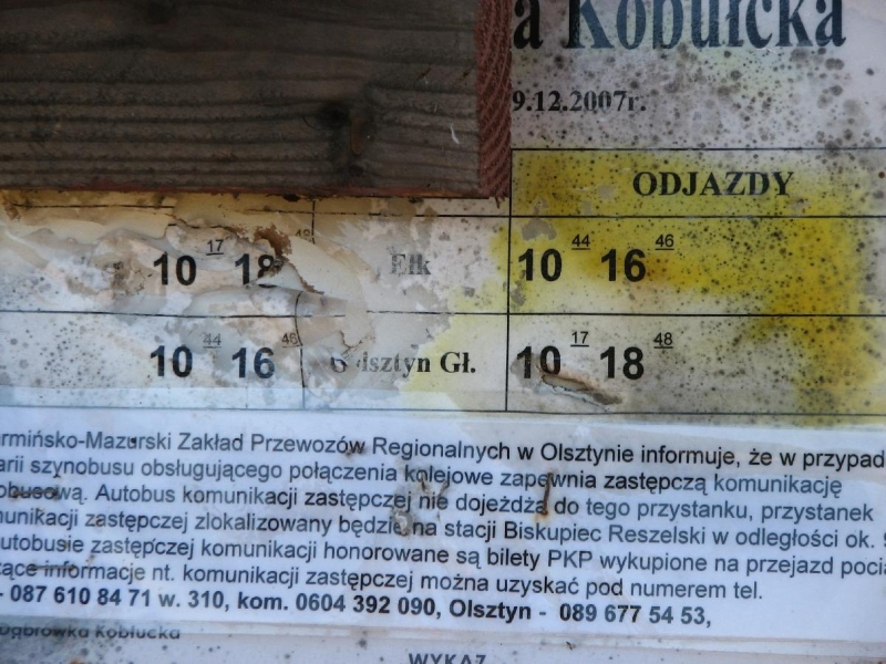 Dąbrówka Kobułcka 06