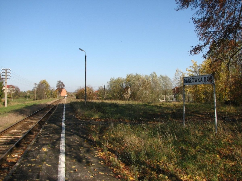 Dąbrówka Kobułcka 07