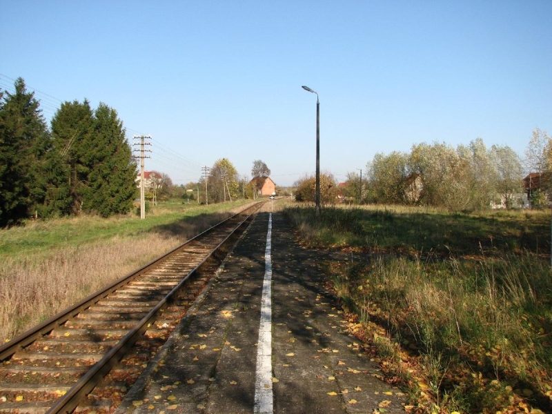 Dąbrówka Kobułcka 08