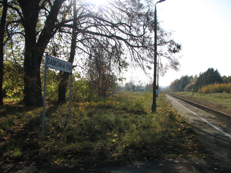 Dąbrówka Kobułcka 09