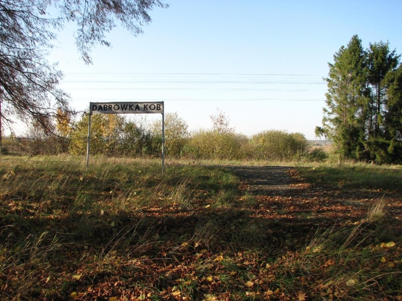 Dąbrówka Kobułcka 10