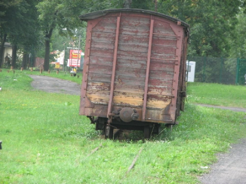 Ełk wąskotorowy 08