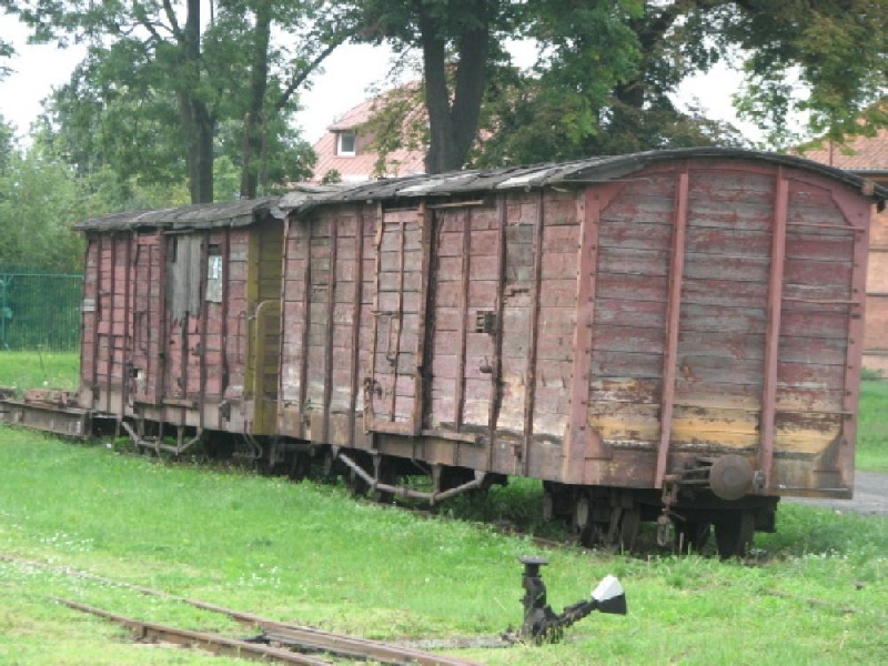 Ełk wąskotorowy 09