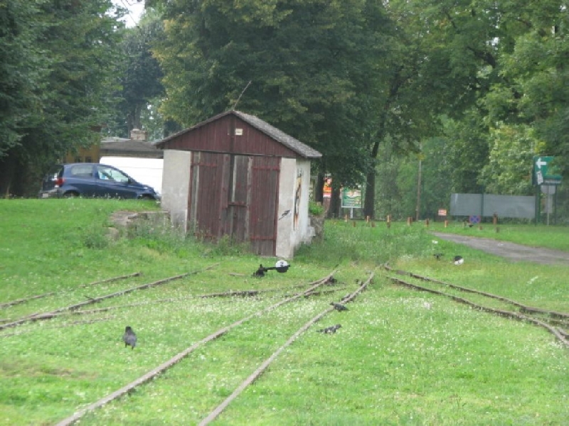 Ełk wąskotorowy 10