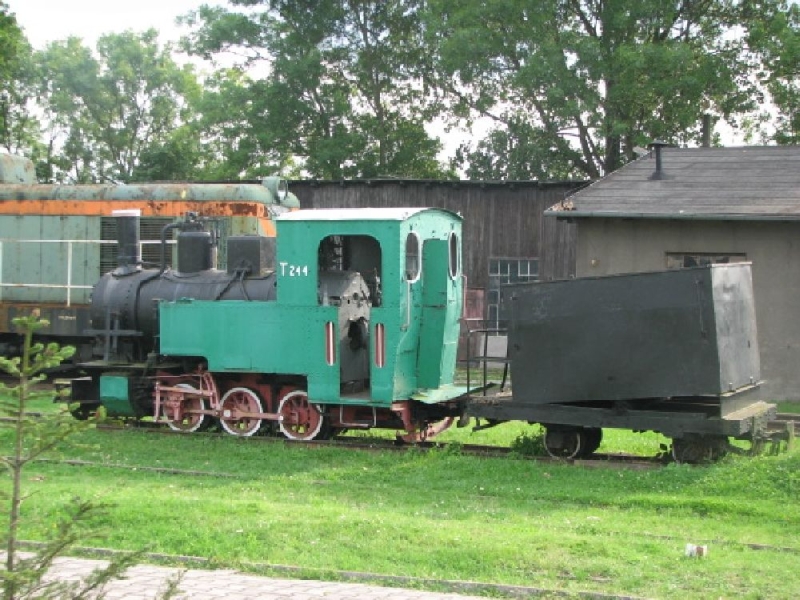 Ełk wąskotorowy 15