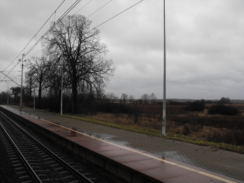 Wrocław Świniary 02