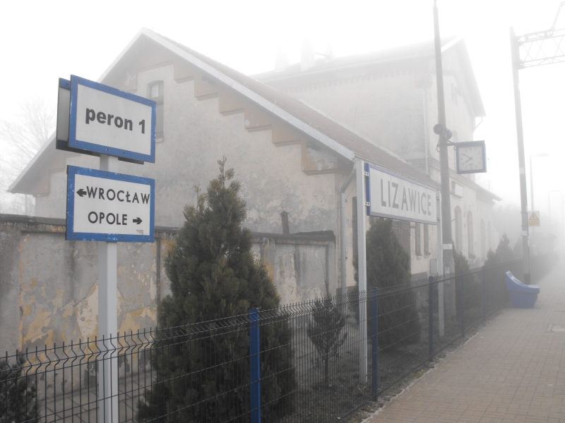 Lizawice 03