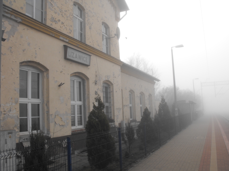 Lizawice 04