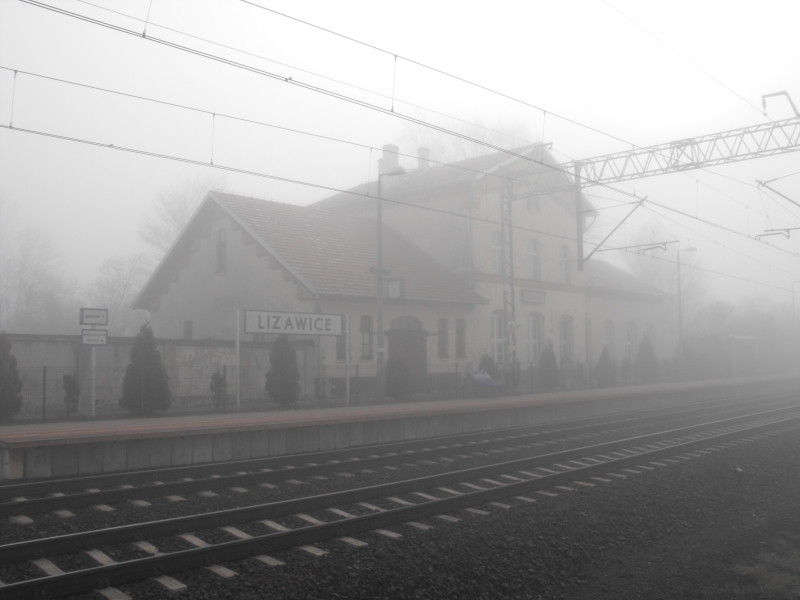 Lizawice 06