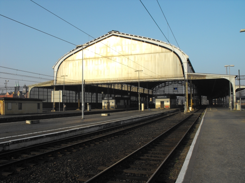 Legnica 11